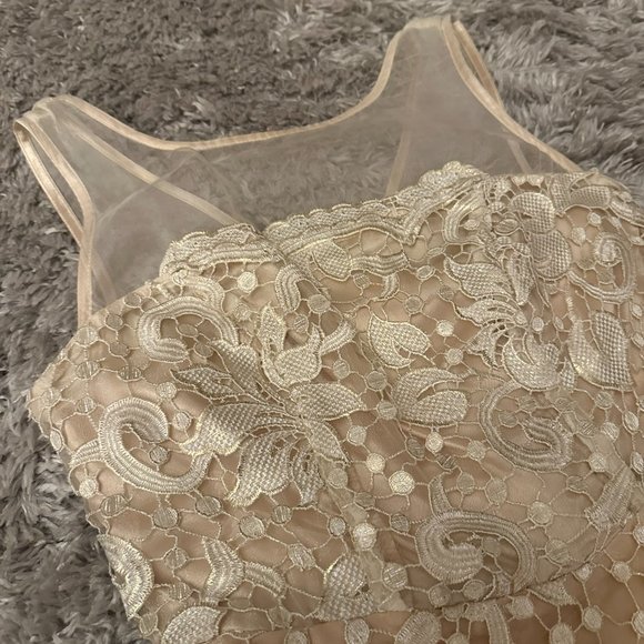 Eva Franco Lace and Silk Fit and Flare Dress - Picture 3 of 4